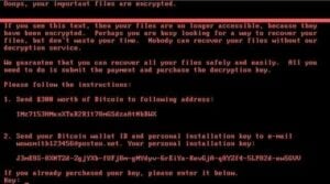 Screenshot of a system compromised by Nyetya